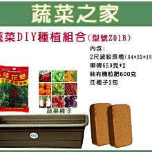 【蔬菜之家滿額免運013-A07】蔬菜DIY種植組合-中型//型號Z01B※此商品運費請選宅配貨運※