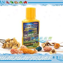 【魚店亂亂賣】HEXA強效藻類調理劑100ml(對付絲藻/黑毛藻 超好用)海薩ALGAE RASER