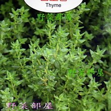 【野菜部屋~】S16 百里香Thyme~天星牌原包裝種子~每包17元 ~