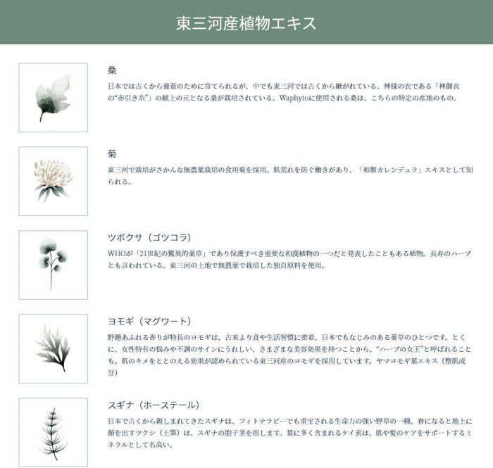 【保濕凝膠】日本 Waphyto 私密肌保養 森田敦子 植物系 天然 日本專櫃 和妃堂 私密肌 無添加品牌❤JP