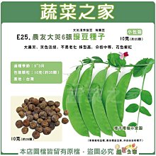 【蔬菜之家滿額免運】E25.農友大莢6號豌豆種子10克(約35顆)(大莢清芳豌豆 荷蘭豆)大扁莢，莢色淡綠