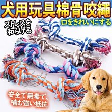 【🐱🐶培菓寵物48H出貨🐰🐹】DYY》犬用玩具麻花色棉骨咬繩麻繩S號特價19元