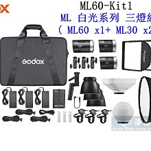【高雄四海】公司貨 Godox神牛 ML60-Kit1 白光系列三燈組．ML60 ML30持續燈 現貨