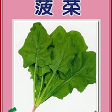 【野菜部屋~】A05 日本特力菠菜種子7.4公克 , 含豐富的鐵和維他命 , 每包15元~