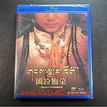 [藍光BD] - 岡拉梅朵 Ganglamedo - 第一部反映現代西藏生活的音樂故事片