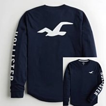 HCO Hollister 海鷗 印花 logo 長T 長袖T恤 現貨 藍色