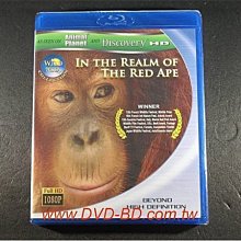 [藍光BD] - 野生亞洲 : 紅毛猩猩 Wild Asia : In the Realm Of The Red Ape - 繁中字幕