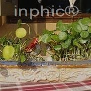 INPHIC-手工陶瓷立體小鳥花器 高溫窯變瓷 收納盒 長方形雜物盒