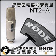 數位黑膠兔【 RODE NT2-A 電容式 麥克風 公司貨 】 全指向 噴麥 雙震膜 錄音室 心型 防震架 錄音 表演