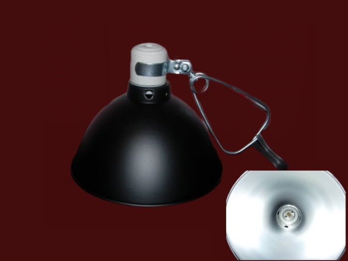 遠紅外線陶瓷加溫器 60W + 燈罩(M) +控溫器 鸚鵡 鳥類 幼鳥 小鳥 病鳥 保溫 保暖 取暖 保溫燈組