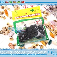 【~魚店亂亂賣~】60型外掛過濾器吸入口生化棉-小型(4入)防小魚吸入(AZOO.Alife.五味.雅柏)