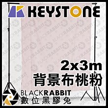 數位黑膠兔【 Keystone 2x3m 背景布 桃粉 】 粉紅色 背景 直播 錄影 去背 合成 攝影棚 攝影布 寫真