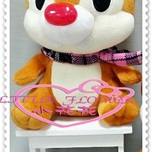 小花花日本精品♥ Hello Kitty  奇奇蒂蒂 娃娃玩偶 花栗鼠 松鼠 ( Dale)蒂蒂 粉圍巾12334209