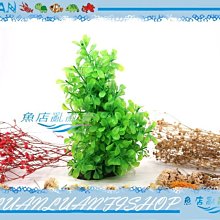 【~魚店亂亂賣~】造景飾品22020超逼真翠綠圓葉草(假水草)軟枝材質可隨意更換想要的樣式(免CO2)