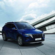 【小鳥的店】現代 2022-24 TUCSON L M8 汽車腳踏墊 車用腳踏墊 腳踏墊 TPE 3D