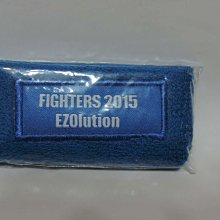 貳拾肆棒球-日本帶回日職棒火腿FIGHTERS  EZOlution 護腕