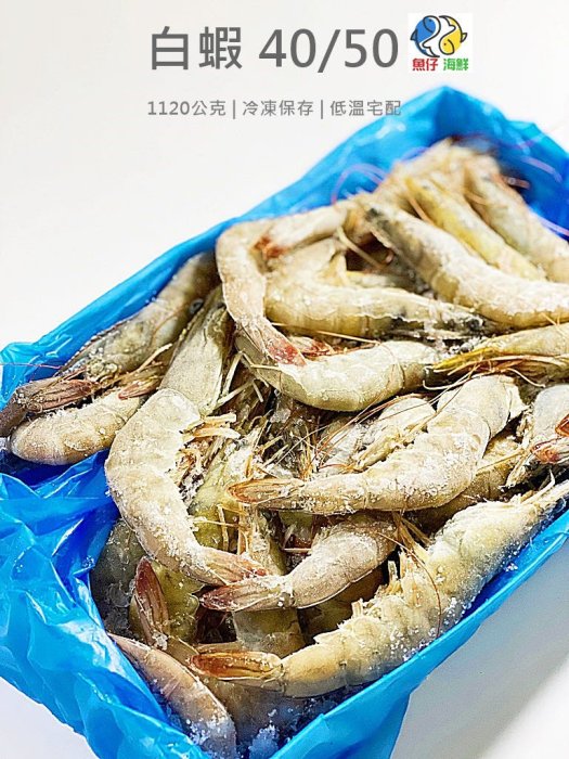 【魚仔海鮮】南美生白蝦40/50 (約36-45隻) 1100公克±5％  冷凍白蝦 冷凍海鮮