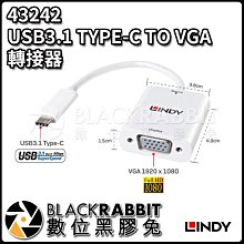 數位黑膠兔【 林帝 43242 USB3.1 TYPE-C TO VGA 轉接器 】免安裝 免接電 熱插拔 fullHD