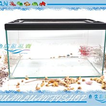 【魚店亂亂賣】HIROTA玻璃爬蟲箱RP-4525型45*30*26cm兩棲.寵物缸(烏龜養殖缸)台灣宣龍