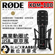 數位黑膠兔【 RODE XDM-100 專業動圈式 USB 麥克風 】直播 podcast 心形指向 錄影 收音