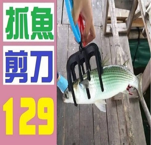 【三峽好吉市】抓魚剪刀 抓魚夾 魚龍 蝦籠 補魚網 磯釣竿 捲線器 探照燈 魚秤