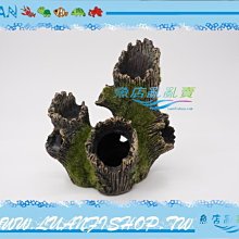 【魚店亂亂賣】仿真造景擺飾青苔木頭樹幹(躲避山洞/躲藏穴)16x10x17cm  8886型