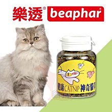 **貓狗大王*荷蘭Beaphar 樂透健康神奇貓草(超大瓶裝)貓薄荷 貓大麻,紓解壓力,天然化毛---40克