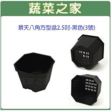 【蔬菜之家滿額免運】景天八角方型盆2.5吋-黑色(3號)※此商品運費請選宅配※