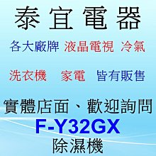 【泰宜】Panasonic國際 F-Y32GX 除濕機 16L/日【另有RD-320HH1】
