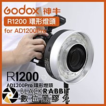 數位黑膠兔【 Godox 神牛 R1200 環形燈頭 for AD1200Pro 】 TTL 閃光燈 無線 補光燈 棚燈