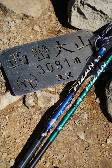 免運【速度公園】FIZAN義大利 超輕三節式健行登山杖 『台灣黑熊』 FZS21.7102WFB 登山 露營 售價為兩支