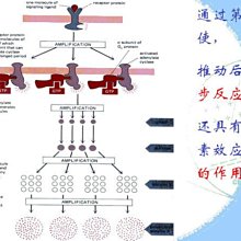 商品縮圖-3