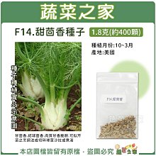 【蔬菜之家滿額免運】F14.甜茴香種子1.8克(約400顆)(進口種子.甘茴香.肉質甘香脆甜.可似芹菜之烹調法.蔬菜種子)