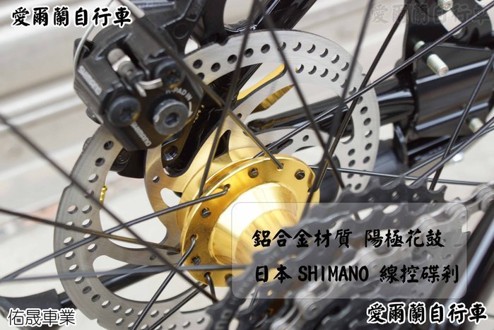 【大沅單車】愛爾蘭-鋁合金車架 日本SHIMANO 24速 前後碟剎 快拆 指撥定位 IRLAND EVO DNA折疊車
