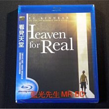 [藍光BD] - 看見天堂 Heaven is for Real ( 得利公司貨 ) -【 寶貝媽媽 】葛瑞格金尼爾