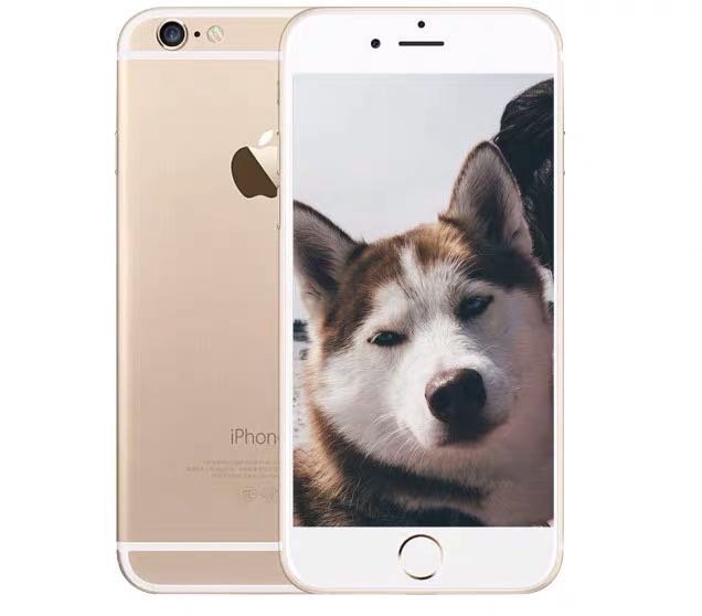 蘋果 IPhone 6 PLUS 5.5吋 64G 土豪金 功能正常 空機 二手機 中古機