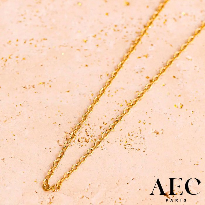 AEC PARIS 巴黎品牌 迷你切割細鍊 簡約金色項鍊 CHAIN NECKLACE DUBE