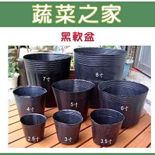 【蔬菜之家滿額免運005-C22】蔬菜育苗專用黑軟盆3.5吋100個/組※不適用郵寄掛號※