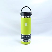 Hydro Flask 寬口真空保溫鋼瓶 20OZ 不鏽鋼 HFW20BTS752 仙人掌綠 送水瓶刷