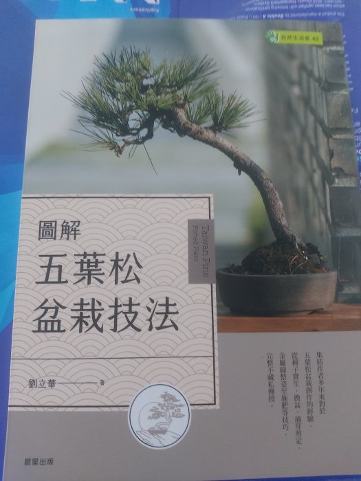 ~寶貝の家~圖解五葉松盆栽技法~中文書以臺灣五葉公為主角傳授培育方法