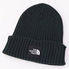 【日貨代購CITY】THE NORTH FACE Cappucho Lid Logo Box 毛帽 NN42035 現貨