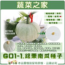 【蔬菜之家滿額免運】G01-1.銀栗南瓜種子1顆 //一代交配。果型扁圓型，果皮灰白色。外型漂亮美觀。長勢強，容易栽培