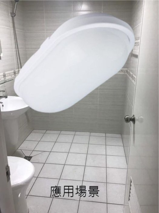 HAFLY 15W LED 戶外防水膠囊 壁燈 吸頂燈 IP65 全電壓 PC材質 防水驅動器 浴室 樓梯間 陽台