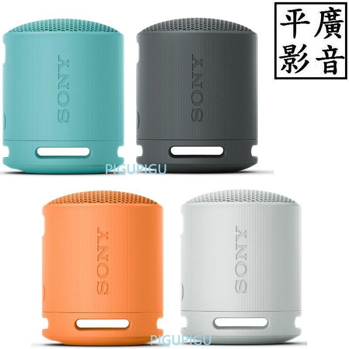平廣 送袋 SONY SRS-XB100 黑色 藍芽喇叭 台灣公司貨保1年 另售耳機 JBL GO2 3