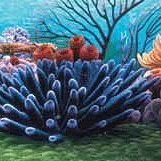 微笑的魚水族☆美國Disney迪士尼【海底總動員背景圖 NMBG7 深海珊瑚】