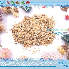 【~魚店亂亂賣~】全新美細砂/美矽砂1kg(散裝)水草沙(另售大包裝約18KG)各式魚缸用底砂細砂