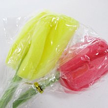 湊免運小物 水壺海棉刷 可愛花朵造型 20CM 適用500ML【iSport愛運動】