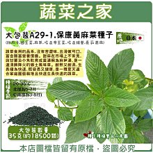 【蔬菜之家滿額免運】大包裝A29-1.保康黃麻菜種子35克(約18500顆) (甜麻子).※不適用郵寄掛號※