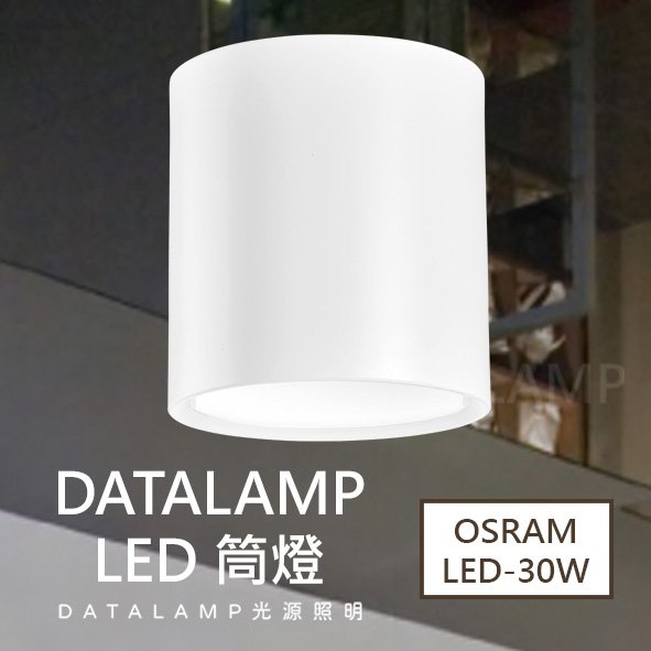 【阿倫燈具】《H4978》附OSRAM LED-30W 台灣電子 另有黑色 演色性RA≧82 鋁材 LED 筒燈