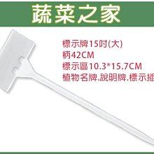 【蔬菜之家滿額免運】標示牌15吋(大)柄42CM植物名牌.說明牌※此商品運費請選宅配※